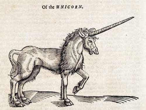 Tiedosto:Unicorn Topsell 1658.jpg
